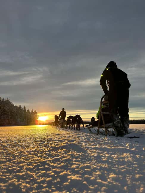 North, Dogs, Snowmobiles & Lights - Lunch at the Camp Home-Base, Plus Coffee, Tea, and Snacks