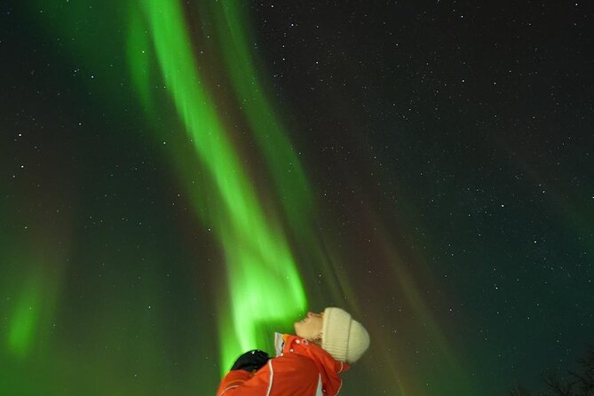 Northern Light Minibus Hunt to Abisko National Park - Key Highlights You Actually Feel During the Tour