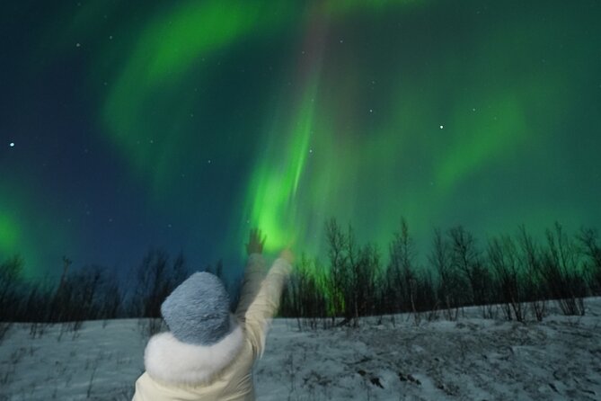 Northern Light Minibus Hunt to Abisko National Park - The Minibus Ride Into the Polar Night: Comfort First, Then Search