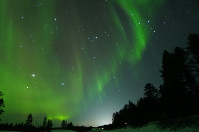 Northern Light Minibus Hunt to Abisko National Park - Abisko National Park Stop: Where the Watching Gets Serious