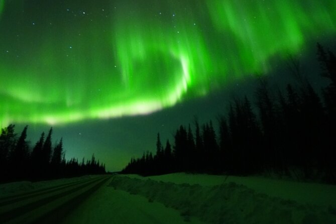 Northern Light Minibus Hunt to Abisko National Park - Aurora Reality Check: Clouds Happen, and the Plan Still Helps