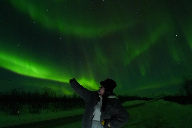 Northern Light Minibus Hunt to Abisko National Park - Group Size, English Speaking Guide, and Who This Fits