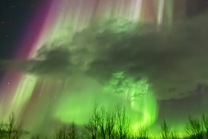 Northern Light Minibus Hunt to Abisko National Park - Price and Value: Is $217.71 Worth It?