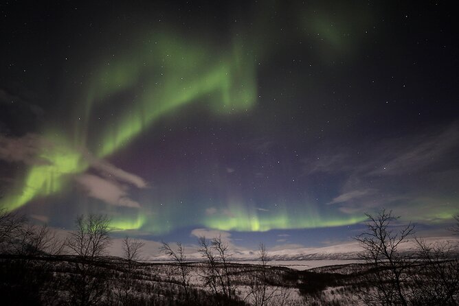 Northern Light Photo tour - Picking the best spot for clear skies, not just the biggest crowd