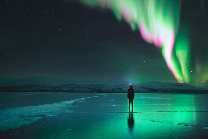 Northern Lights Photo Expedition Dinner Included from Abisko - Key Highlights You Should Know Before You Go