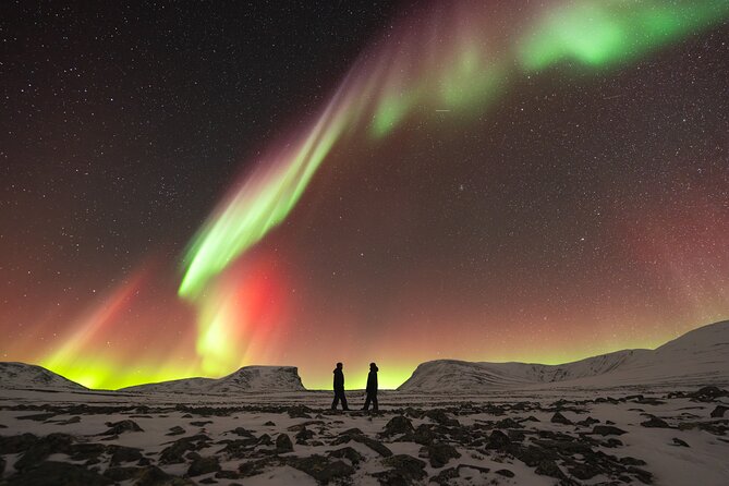 Northern Lights Photo Expedition Dinner Included from Abisko - How the Photo Coaching Actually Helps Your Results