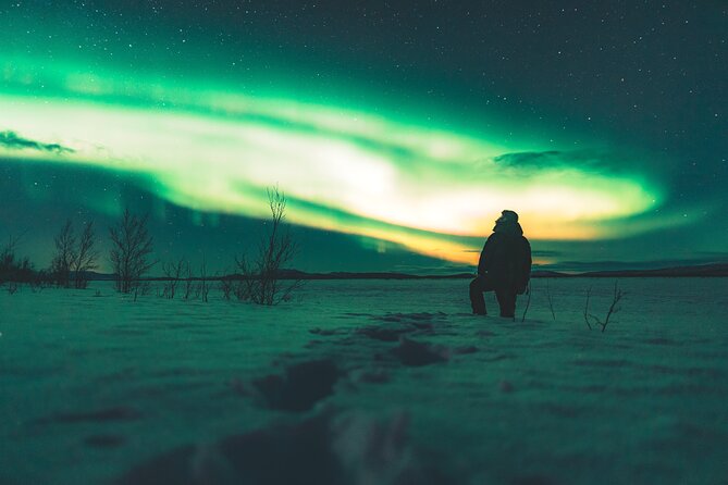 Northern Lights Photo Expedition Dinner Included from Abisko - Group Size Matters More Than You Think