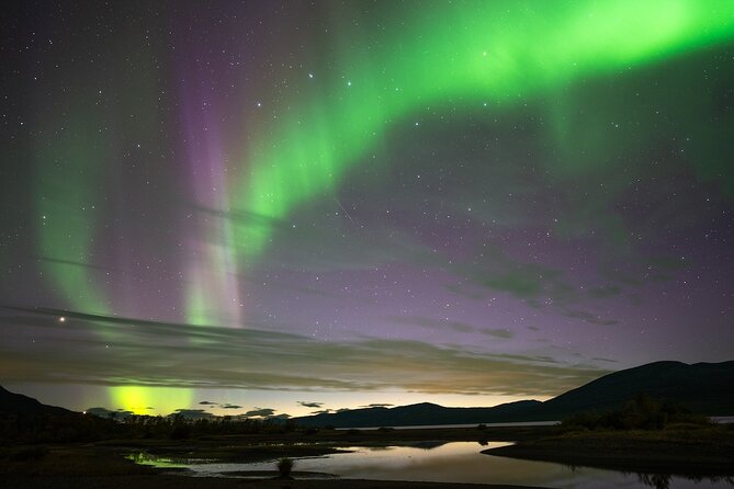 One-Night Aurora Photo Adventure, Borealis Lights Lapland - Sled dogs and husky kennel time for an extra Arctic layer