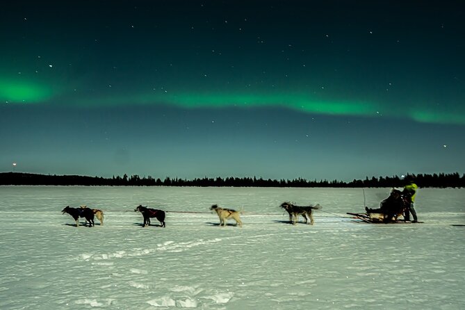 One-Night Aurora Photo Adventure, Borealis Lights Lapland - Group size: why small matters for your photos and your sanity