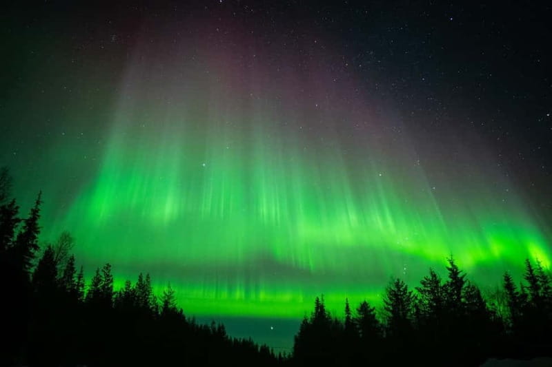Överkalix - Lapland : Snowmobile Tour with Northern Lights - Överkalix Lapland at Night: what you’re really signing up for