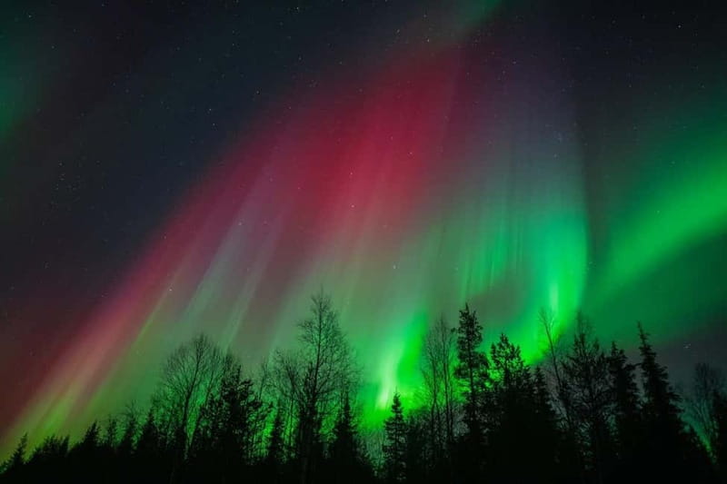 Överkalix - Lapland : Snowmobile Tour with Northern Lights - Northern Lights time: how to enjoy the sky without stress