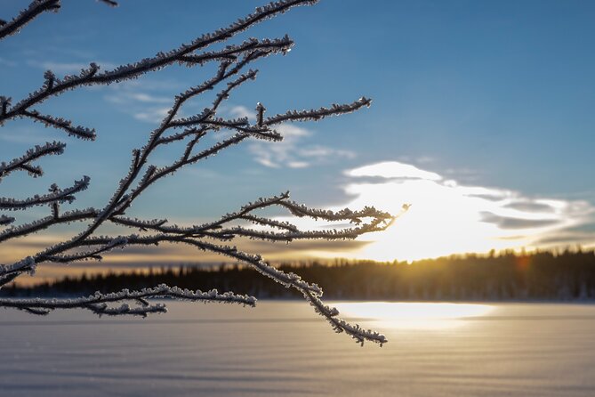 Polar Sunrise Eco Experience (10:00-13:00- driving the sled) - Mid-Route Stops and the Photo Moment That Actually Helps