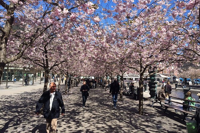 Private 4h VIP city tour by limousine car and guide in Stockholm - Price and value: what $395 really buys you