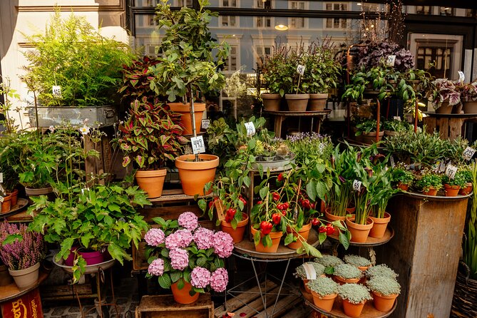 Private 90-Minute Walking Tour in Stockholm - Why a 90-Minute Private Walk Works in Stockholm