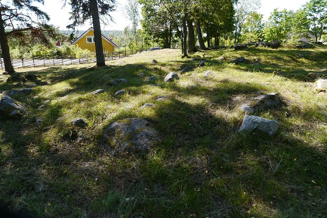 Private Full Day Viking History Tour from Stockholm Including Sigtuna and Uppsala - Uppsala Domkyrka and Old Uppsala: where faith, power, and memory overlap