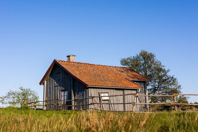 Private Guided Tour on Lake Vänern - Included extras that matter: binoculars and life jackets