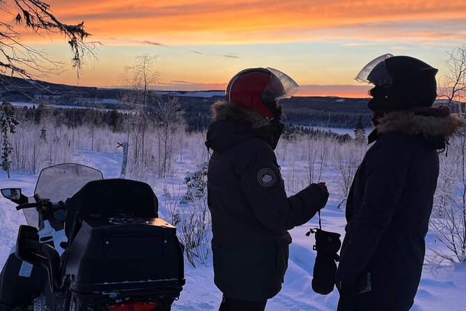 Private snowmobile day tours - Wildlife Spotting: When Luck Meets Good Timing