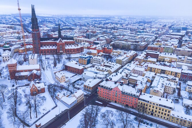 Private Tour Uppsala & Sigtuna from Stockholm - Price and value: is $646.54 per person fair for this kind of day?