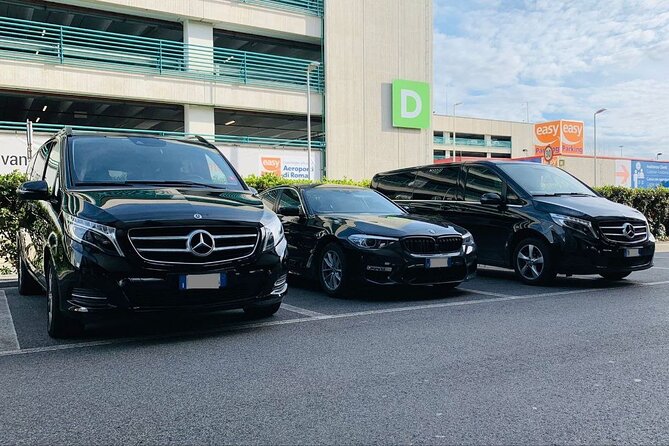 Private Transfer from Nynashamn Cruise Port to Stockholm Hotels - Key things to know before you go
