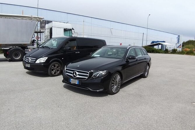 Private Transfer from Nynashamn Cruise Port to Stockholm Hotels - Child seats and service animals, handled correctly