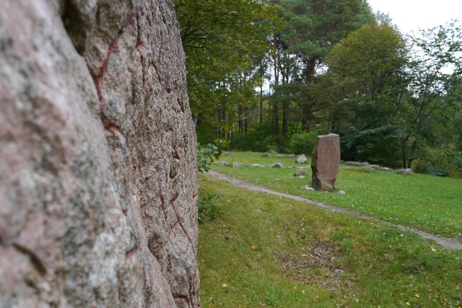 Private Viking tour by a lake + Swedish nature forest walk, 90min - Getting to Lovisedal: the bus plan that keeps the trip worth it