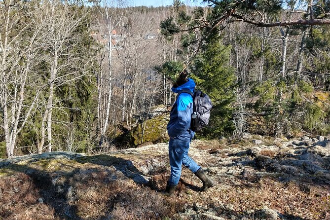Private Viking tour by a lake + Swedish nature forest walk, 90min - Stop 3 Vallentunasjön: ships, water routes, and religion talk