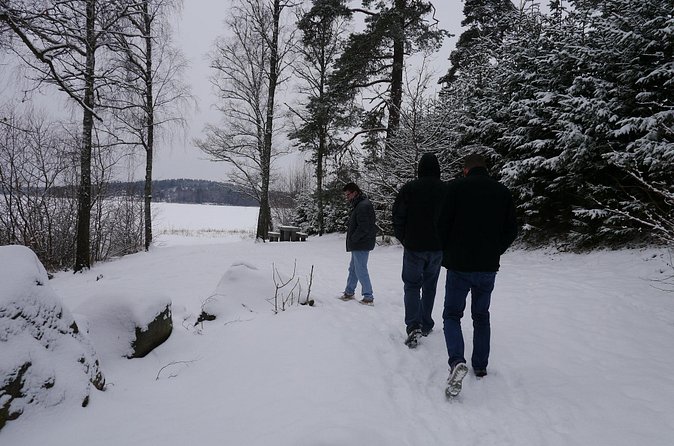 Private Viking tour by a lake + Swedish nature forest walk, 90min - Timing reality: 90 minutes on paper, how it can feel in the field