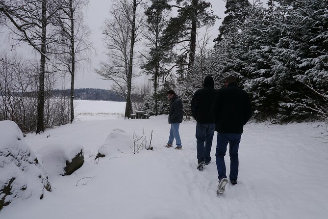 Private Viking tour by a lake + Swedish nature forest walk, 90min - Price and value: $70.78 per person with private guide time