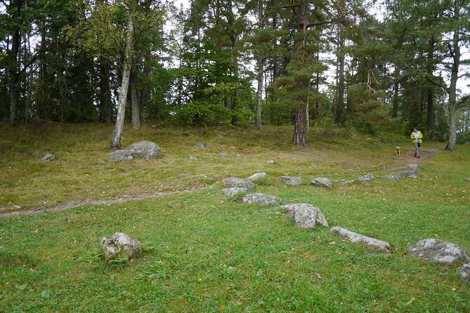 Private Viking tour by a lake + Swedish nature forest walk, 90min - Stop 1 Lovisedal forest walk: Swedish nature rules on foot