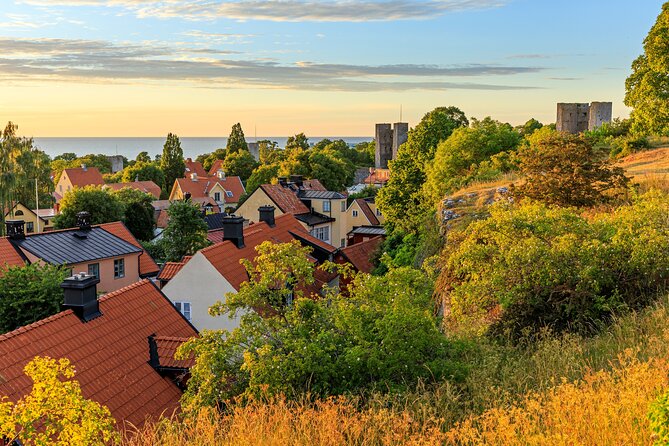Private Walking Tour of Visby with Cathedral and Gardens - Why This Visby Private Walk Makes Sense for First-Time Visitors