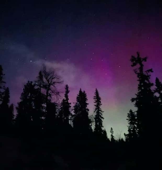 Sälen: Northern Lights Snowshoe Adventure with Pickup - From Sälen pickup to Köarskärsfjället, the whole trip starts easy