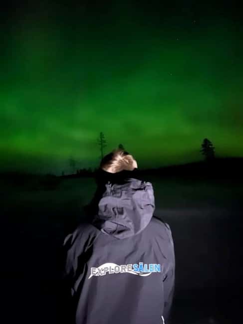 Sälen: Northern Lights Snowshoe Adventure with Pickup - Duration and pacing: a compact 3-hour adventure that avoids the cold drain