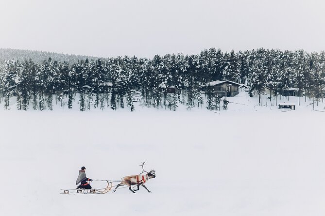 Sami day tour adventure - Why a Sami reindeer camp in Jukkasjärvi is worth 3 hours