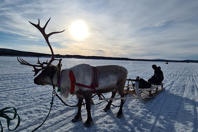Sami day tour adventure - Kiruna to the camp: the snowmobile ride that sets the tone