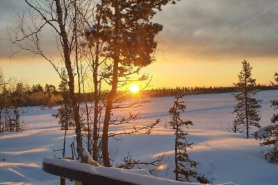 Sami day tour adventure