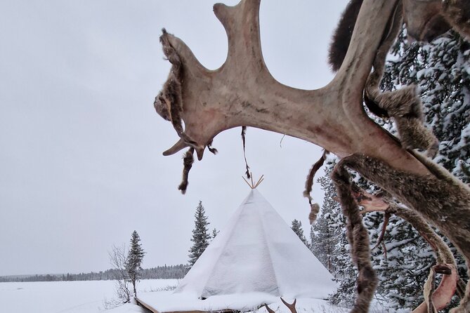 Sami day tour adventure - Who should book this Sami day adventure, and who should think twice