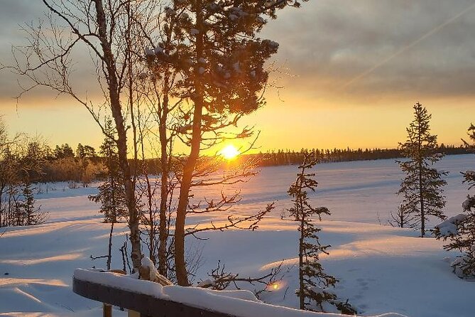Sami day tour adventure - The reindeer sleigh ride plus Sami-inspired food and drinks