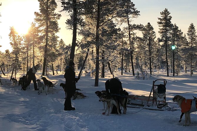 Sit Down Husky Ride Dog Sled Tour in Kiruna - Premium Arctic Outerwear Means Your Main Job is Staying Put