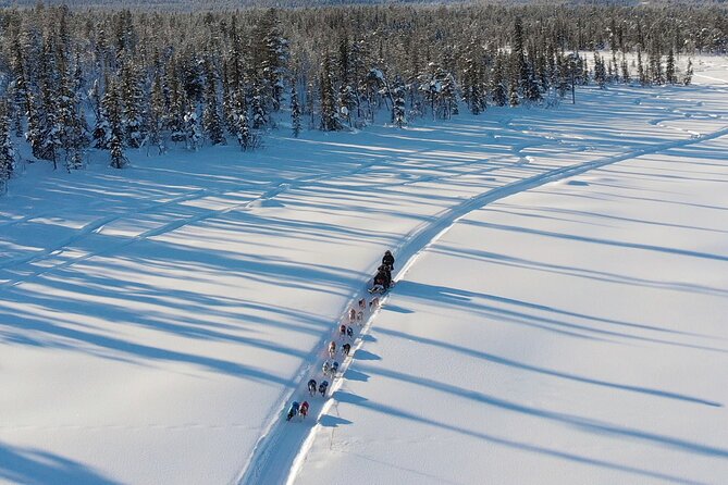 Sit Down Husky Ride Dog Sled Tour in Kiruna - Learning From the English-Speaking Guide and Musher Style