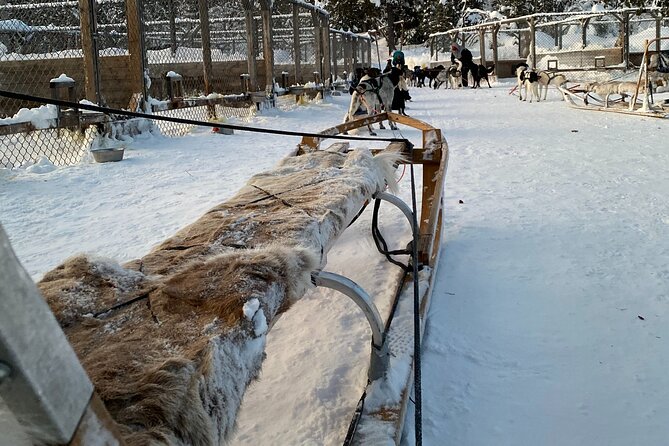 Sit Down Husky Ride Dog Sled Tour in Kiruna - Timing and Pacing on a 2 Hour 30 Minute Experience