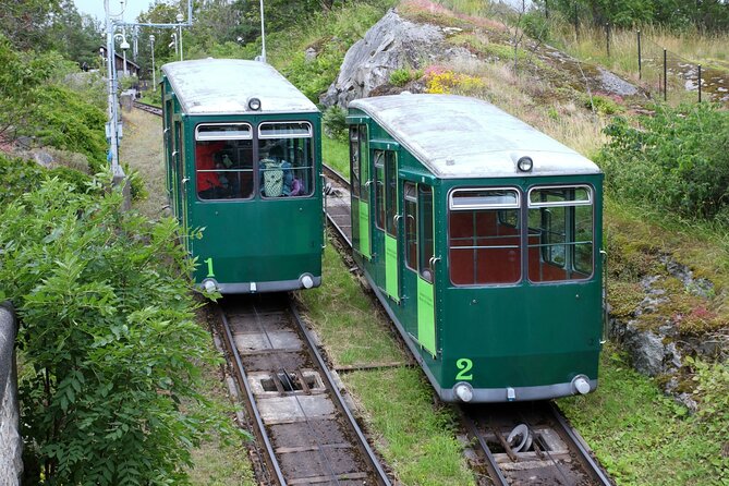 Skansen Stockholm Fast-Track Tickets, Private Tour, Transfer - Transfer Options: When You Add the Ride Time