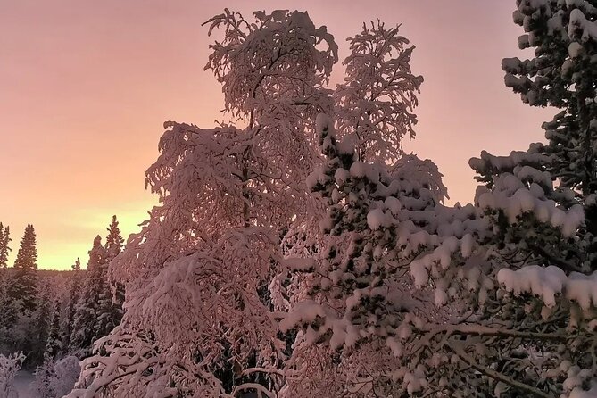 Snowmobile Adventure in Lapland: Guided Tour from Kiruna - Safety Briefing and Your First Turns on Snow