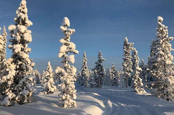 Snowmobile Arctic Adventure - What the Guides Do Beyond Directions