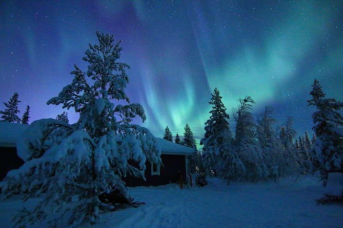 Snowmobile Aurora Expedition with dinner - Kiruna After Dark: Why This Aurora Hunt Feels More Than Scenic