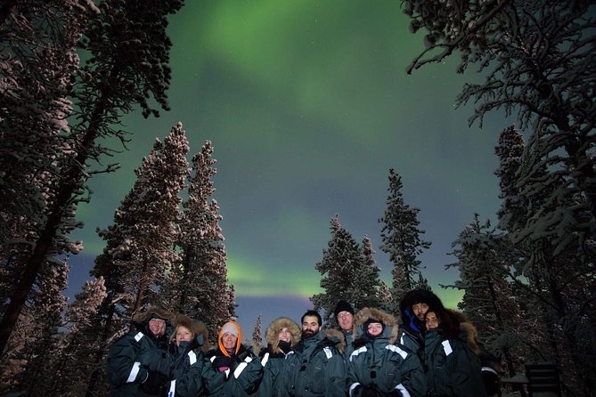Snowmobile Aurora Expedition with dinner - Snowmobile Basics in the Arctic Forest (And the Rules That Keep It Fun)