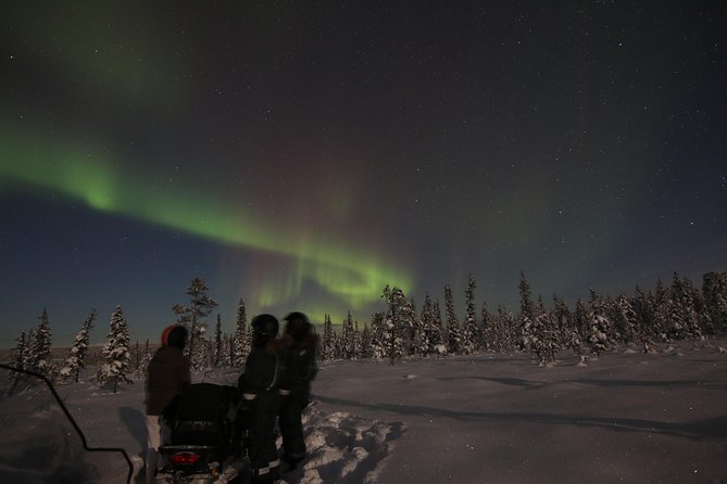 Snowmobile Aurora Expedition with dinner - Dinner by the Open Fire: Reindeer Souvas and Cloudberry Dessert