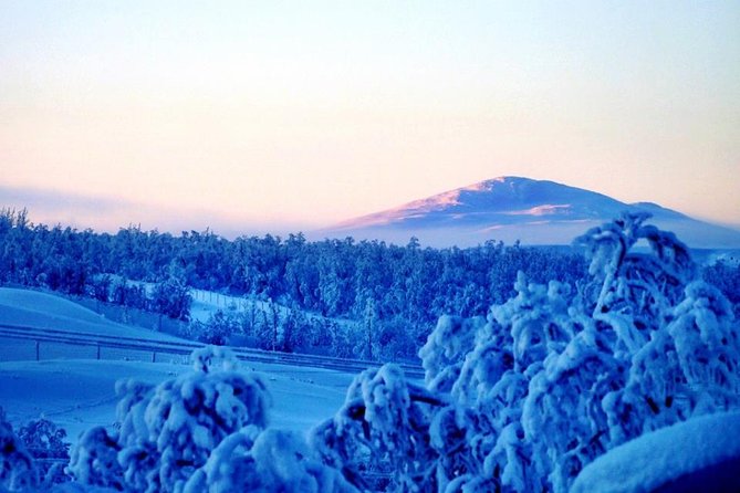 Snowmobile Safari to Lapland viewpoint - Lunch by the fire: a 2-course meal that makes the cold feel worth it