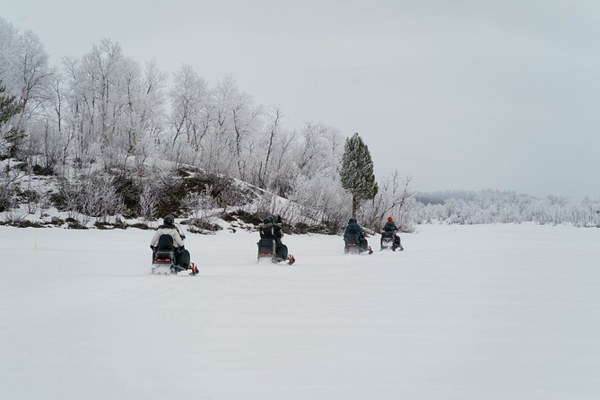 Snowmobile Tour in Kiruna - Stop 1 in Kiruna: deep forest, frozen rivers, and wide winter quiet