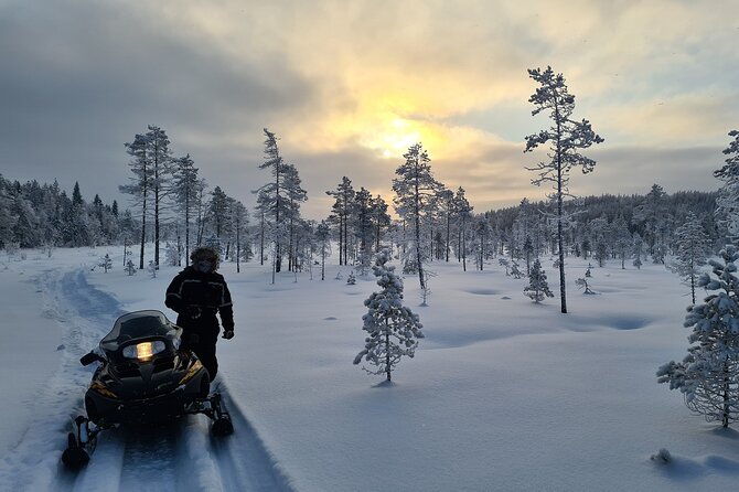 Snowmobile tour - Price, group size, and value that makes sense