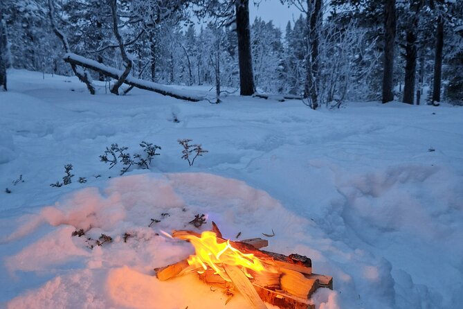 Snowshoe in a Winter Forest - On snowshoes, you learn fast and feel safer